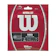 Wilson NATURAL GUT 17 テニスラケットストリング 1