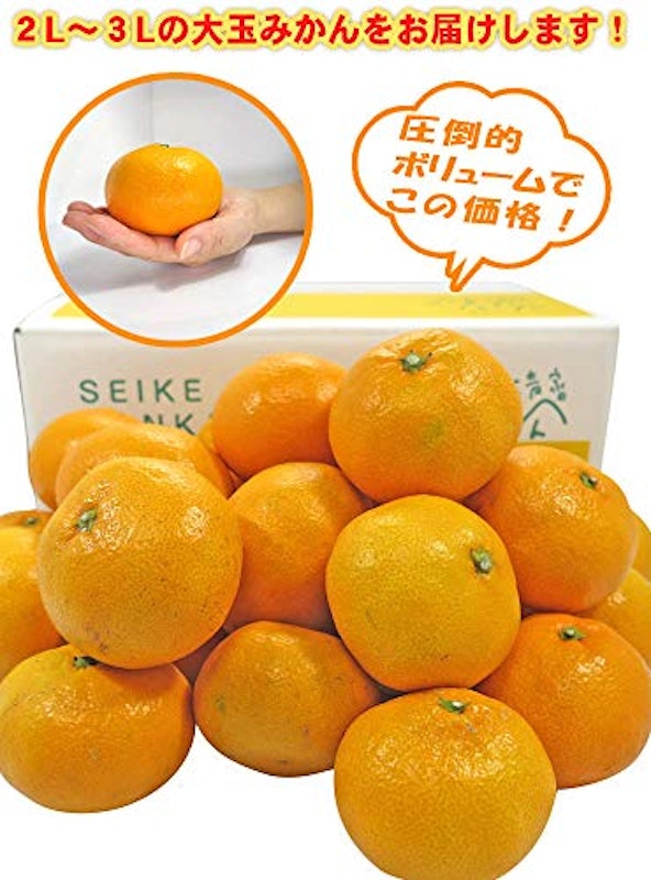 愛媛みかん 大玉みかん・訳あり 2