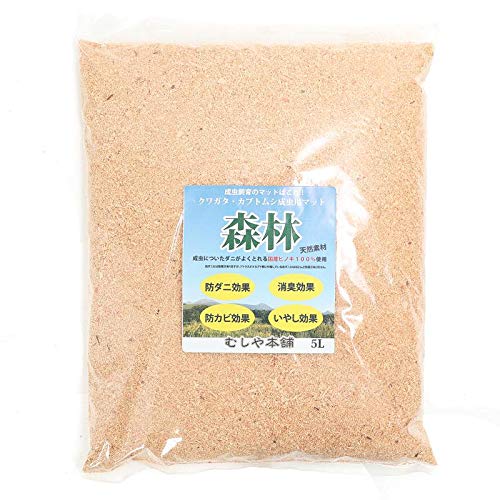 昆虫マット森林 1