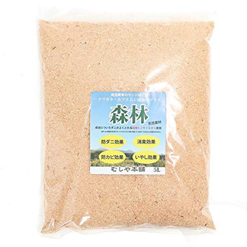 昆虫マット森林 1