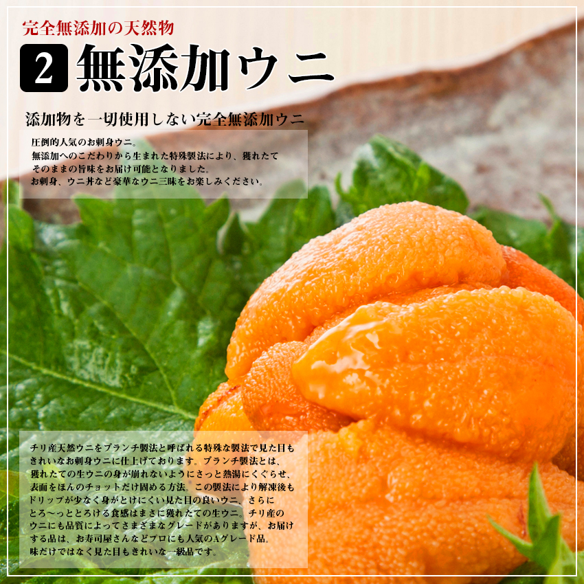 海鮮贅沢 福袋セット 7