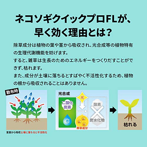 クイックプロFL 4