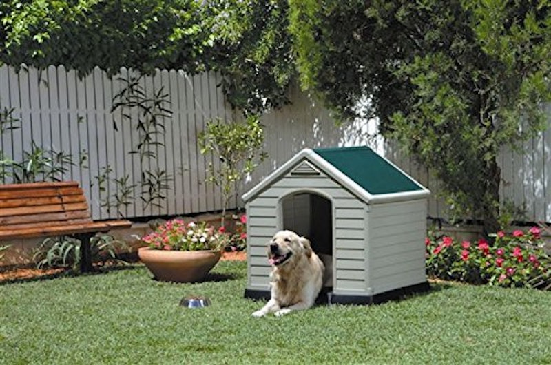 21年 屋外用犬小屋のおすすめ人気ランキング10選 Mybest 21年 屋外用犬小屋のおすすめ人気ランキング10選 Mybest