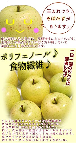 青森県産 王林 4