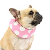 おしゃれな犬服のおすすめ人気ランキング【2026年8月】 5