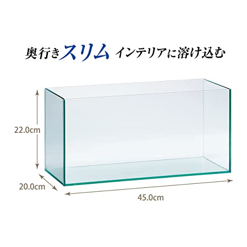 グラステリアスリム 水槽 2