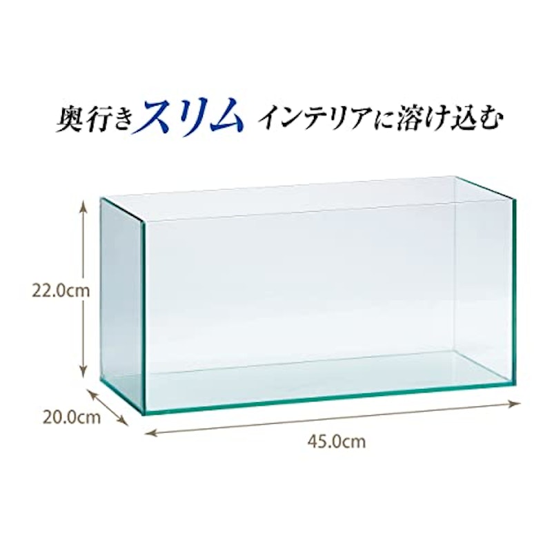 グラステリアスリム 水槽 2