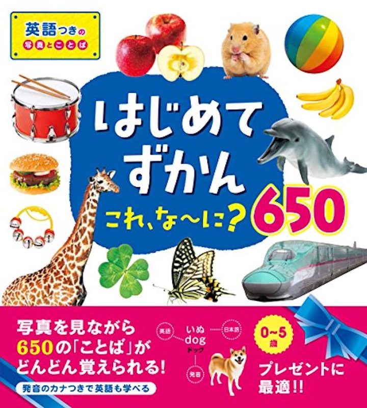 はじめてずかん これ、な~に?650 1