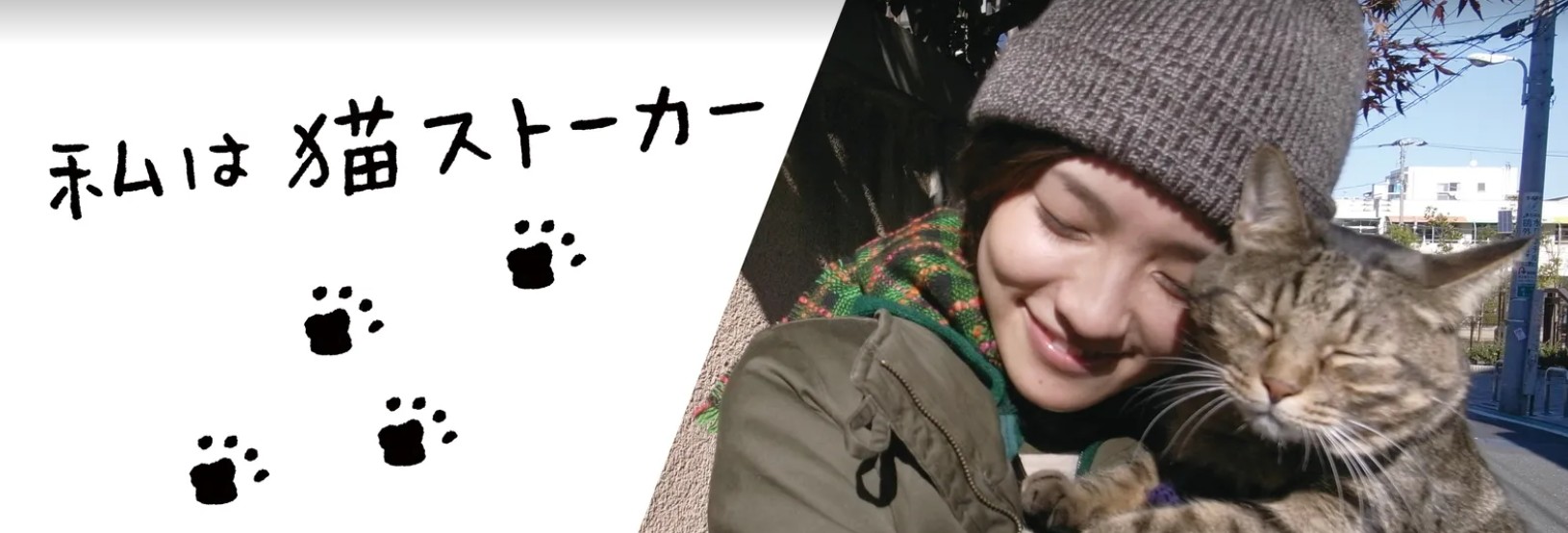 私は猫ストーカー 1