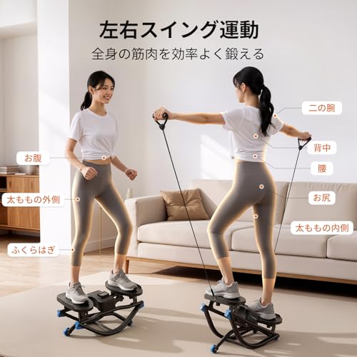 ツイストステッパー 3