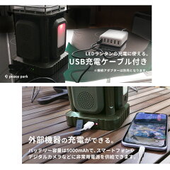 ワイルドランプ 6