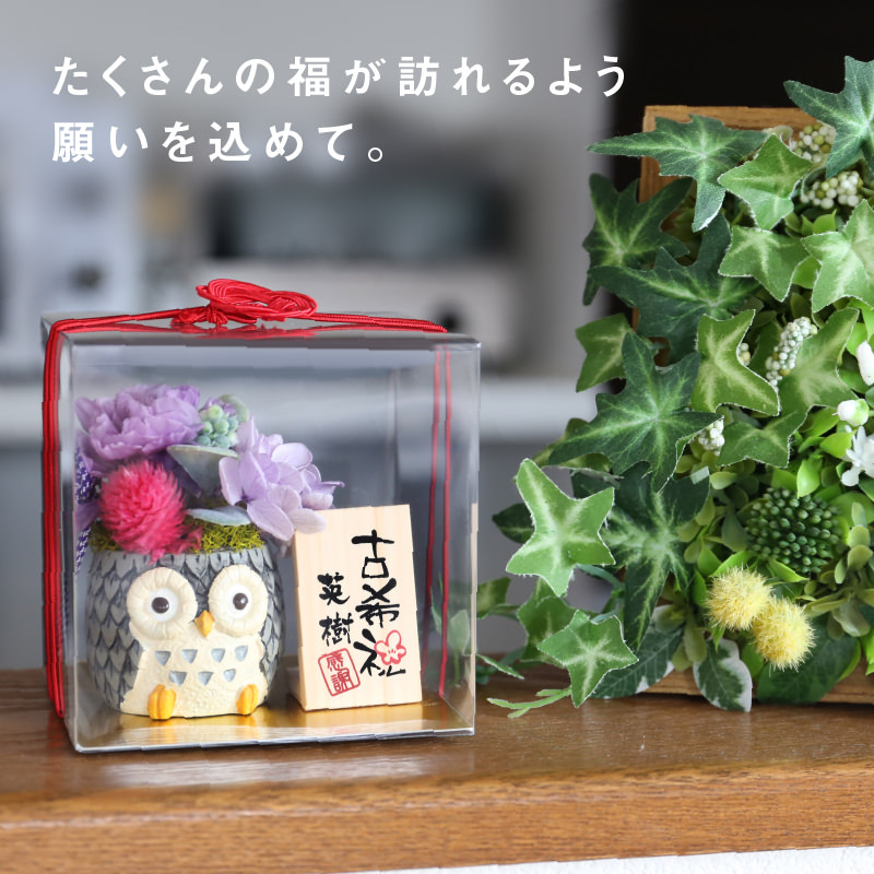 ふくろうプリザーブドフラワー  4