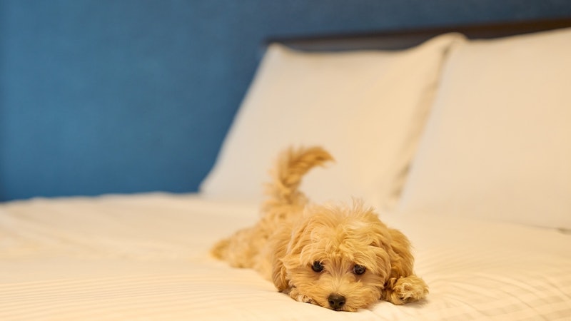 ALFACIO RESORT STAY ITOSHIMA 4