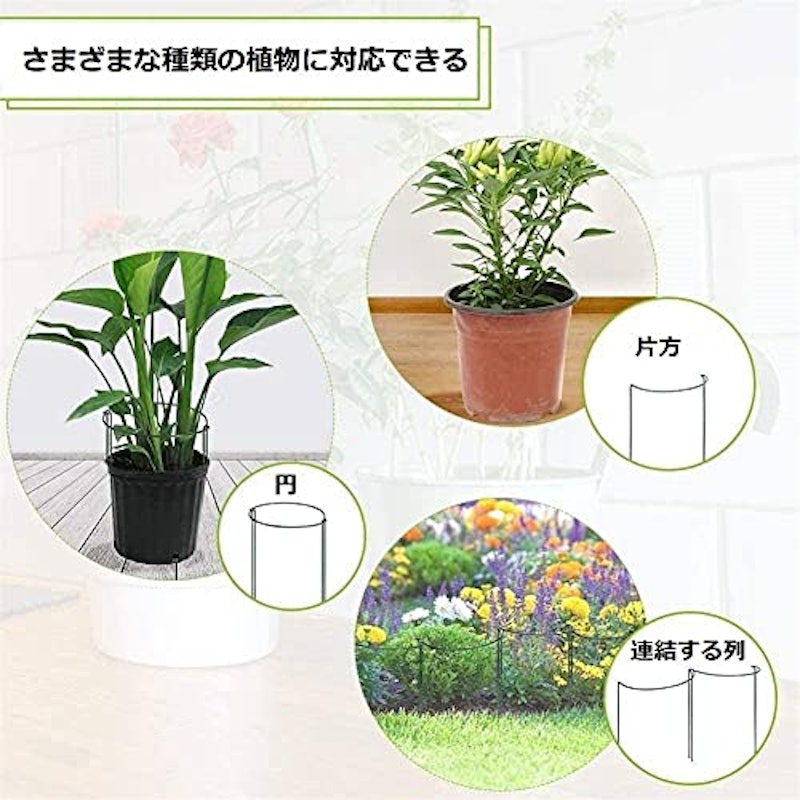 植物支柱 8点セット 2