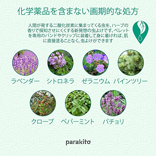 グラフィックバンド 6