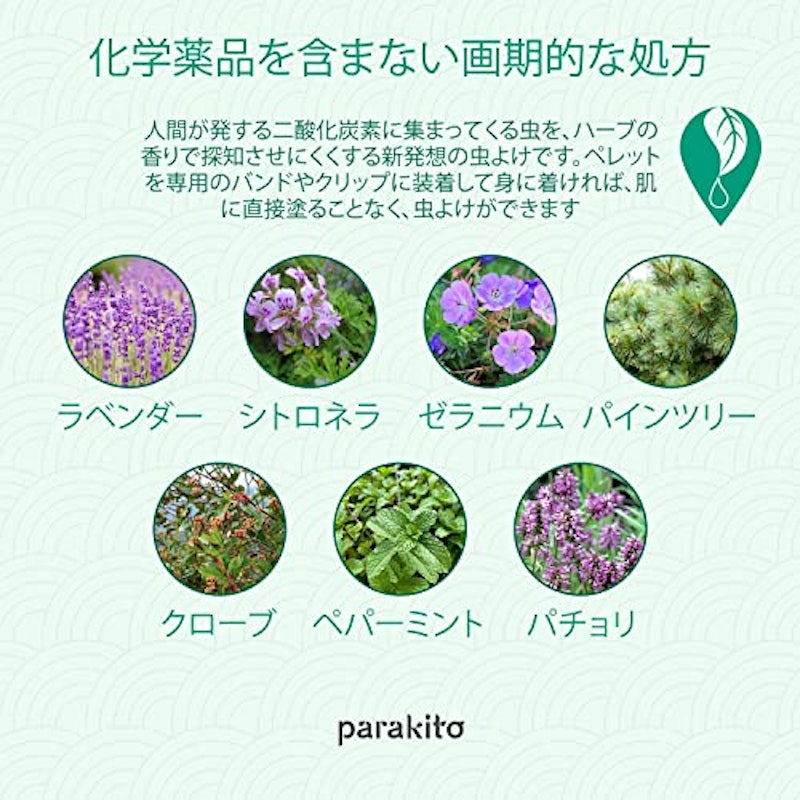 グラフィックバンド 6