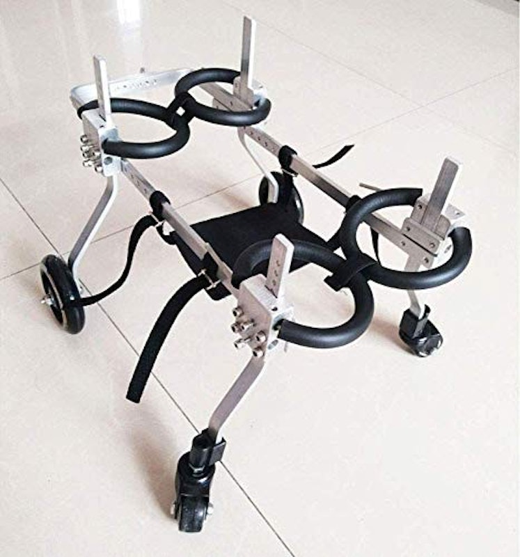 犬用車椅子 2