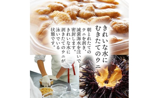 生ウニ  3