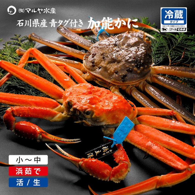 加能かに 1