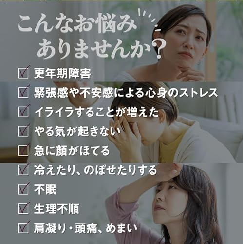 加味逍遙散料エキス顆粒S 3