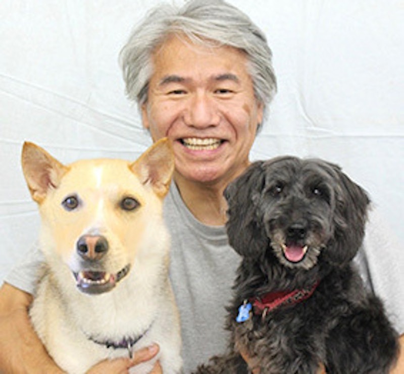 東京都内の犬のしつけ教室おすすめ10選 パピーから成犬まで Mybest 東京都内の犬のしつけ教室おすすめ10選 パピーから成犬まで Mybest