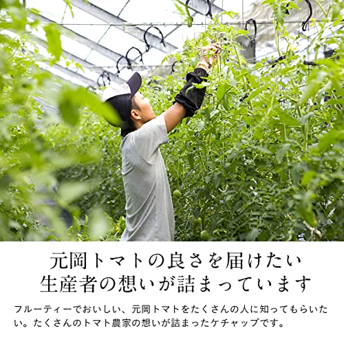 元岡とまとケチャップ  4
