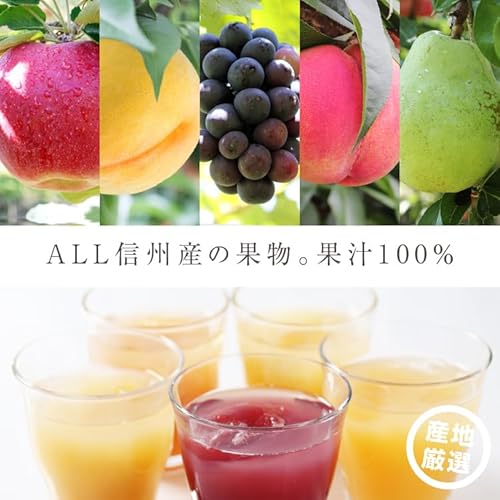 信州産100％果物ジュース500mL 2本セット 5