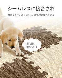 22年 犬用フローリングマットのおすすめ人気ランキング11選 Mybest