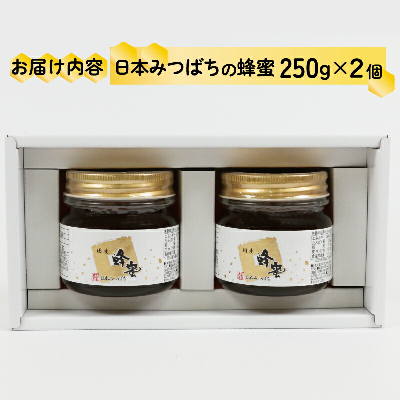 日本みつばちの蜜 2