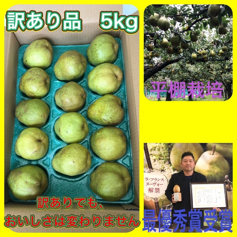 ラ・フランス 家庭用 1