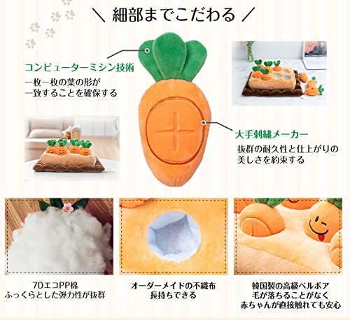 にんじん畑 3