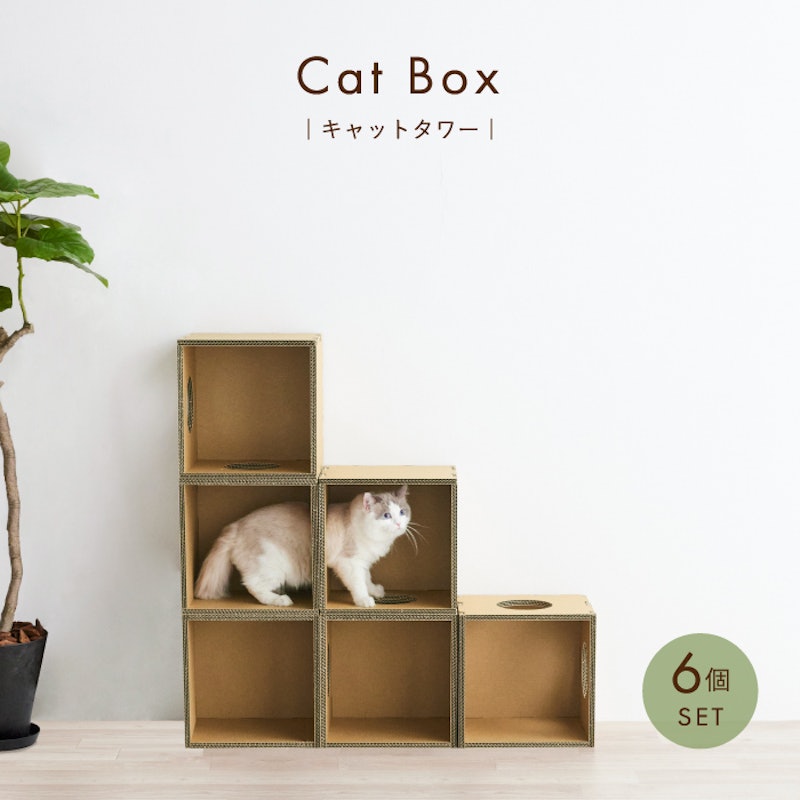 Cat Box 1