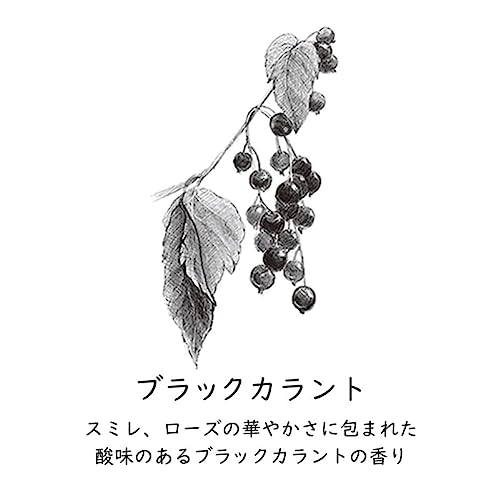 ペーパーインセンス ブラックカラント 2