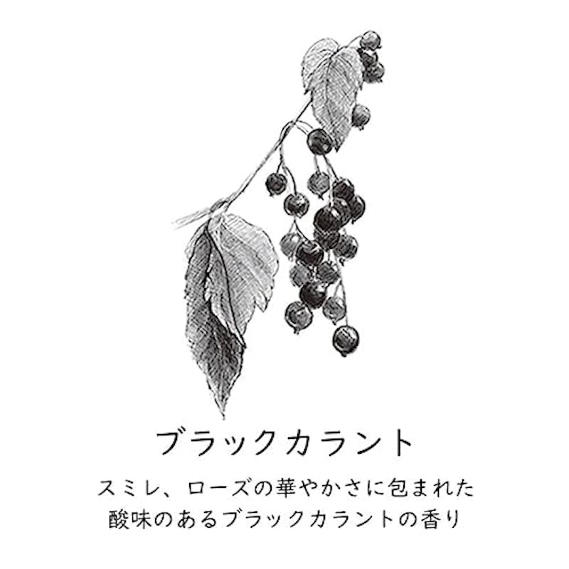 ペーパーインセンス ブラックカラント 2