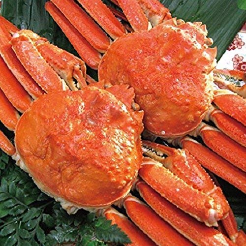 どさんこグルメマーケット ズワイガニ姿 ボイル 1