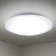 ホタルクス LEDシーリングライト 1