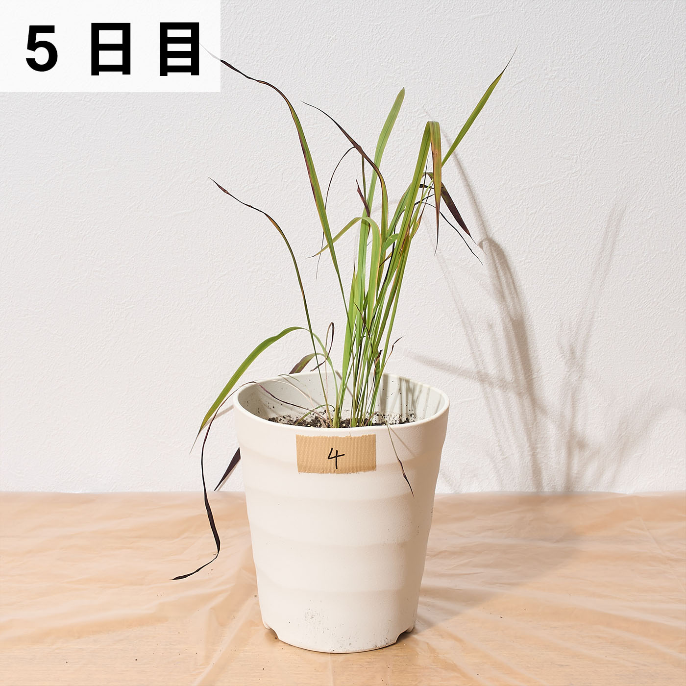 バスタ液剤 18
