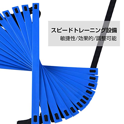 トレーニングラダー 2