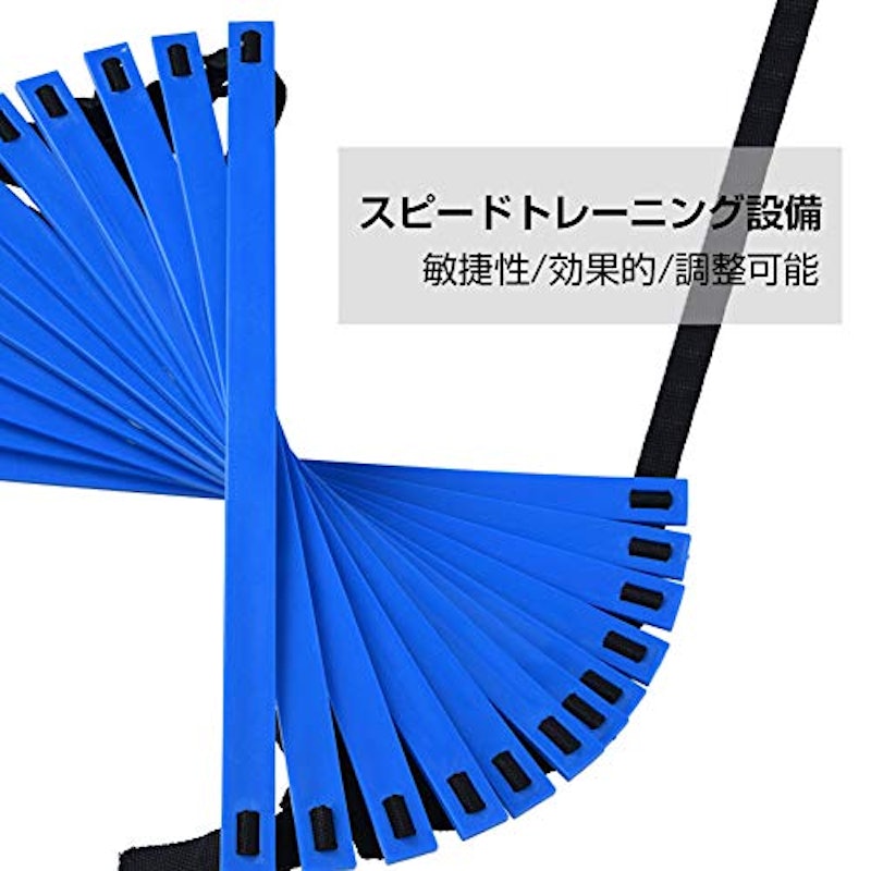 トレーニングラダー 2