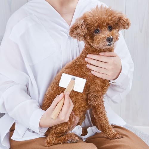 プロフェッショナルスリッカーブラシ 1