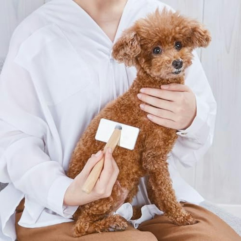 プロフェッショナルスリッカーブラシ 1