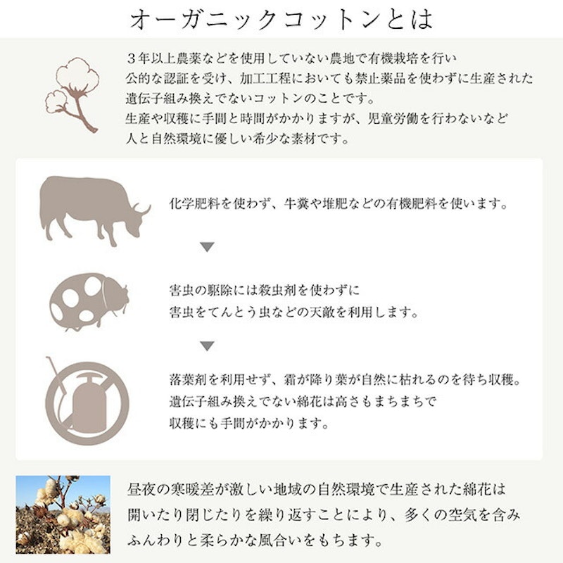 マスク 6
