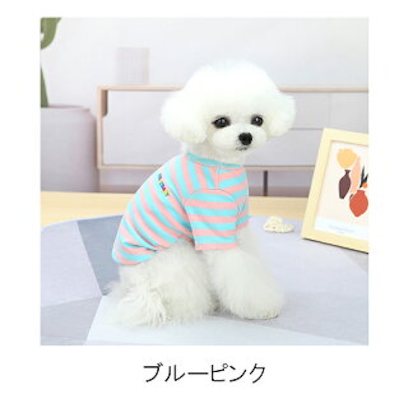 PET FiND ボールドボーダーシャツ 4