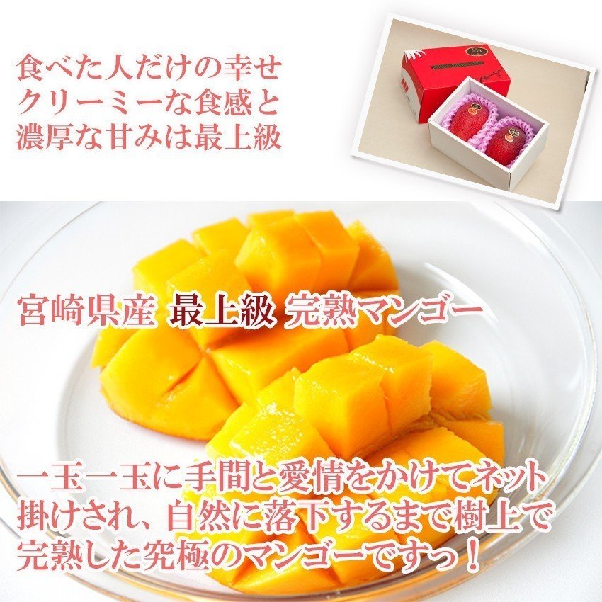 完熟マンゴー 太陽のタマゴ 2