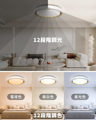 LEDシーリングライト 3