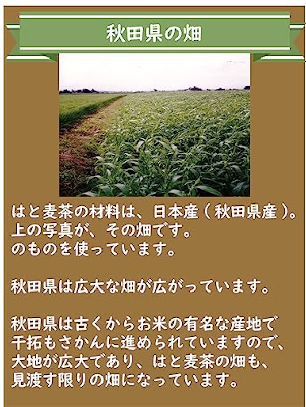 はと麦茶 5