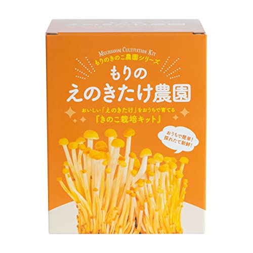 きのこ栽培キット 1