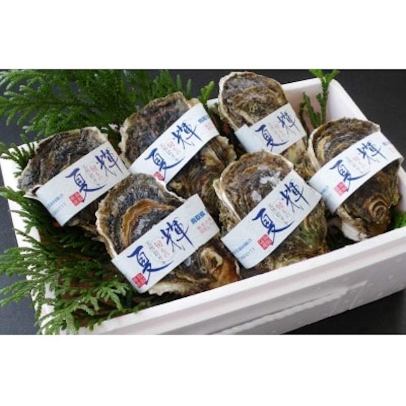 天然岩がき「夏輝」セット 1