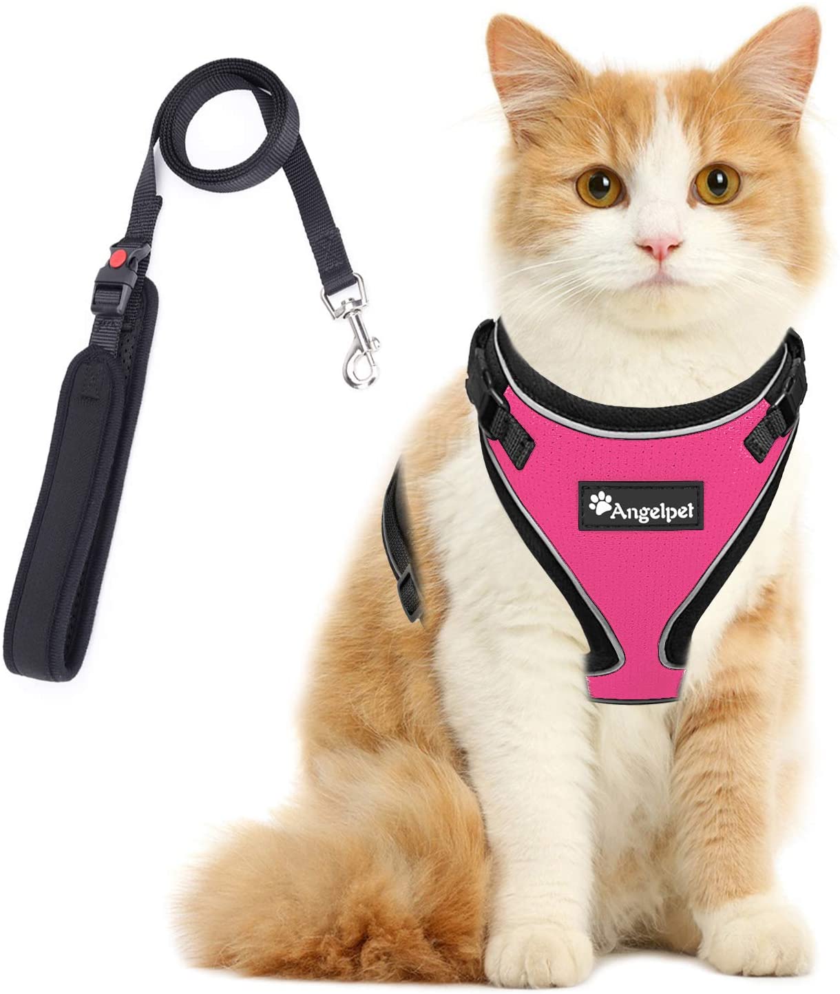 22年 猫用ハーネスのおすすめ人気ランキング25選 Mybest