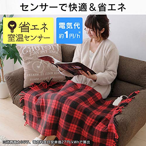 電気毛布 2